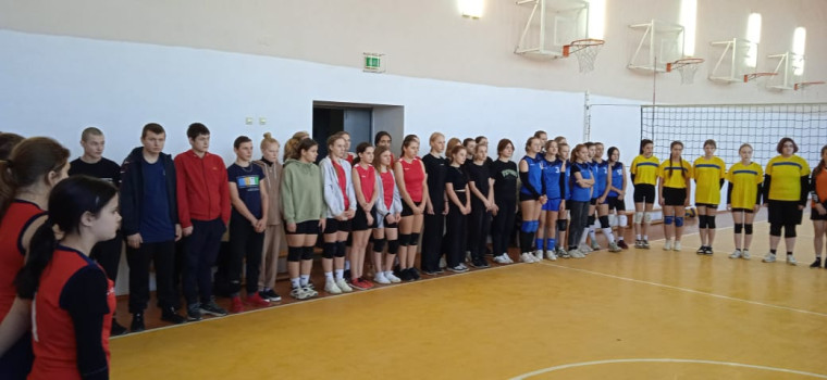 Районные соревнования по волейболу среди девушек  2010-2011 года рождения, посвященные памяти Калинкина В.А..